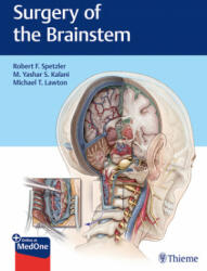 Surgery of the Brainstem - Robert F. Spetzler, M. Yashar S. Kalani, Michael Lawton (ISBN: 9781626232914)