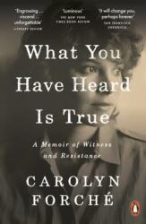 What You Have Heard Is True (ISBN: 9780241405581)