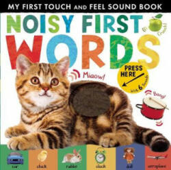 Noisy First Words - Libby Walden (ISBN: 9781848698499)