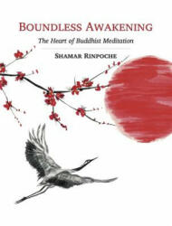 Boundless Awakening: The Heart of Buddhist Meditation (ISBN: 9782360170173)