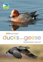 RSPB Spotlight Ducks and Geese (ISBN: 9781472971647)