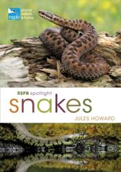 RSPB Spotlight Snakes (ISBN: 9781472971692)