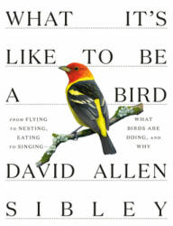 What It's Like to Be a Bird: From Flying to Nesting Eating to Singing--What Birds Are Doing and Why (ISBN: 9780307957894)