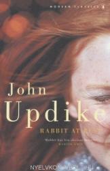 Rabbit at Rest - John Updike (ISBN: 9780141188447)