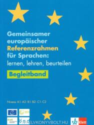 Gemeinsamer europäischer Referenzrahmen für Sprachen (ISBN: 9783126769990)