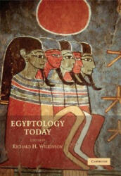 Egyptology Today - Richard H Wilkinson (ISBN: 9780521682268)