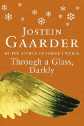 Through A Glass Darkly (ISBN: 9780753806739)