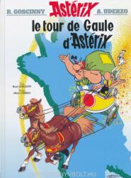 Asterix - Le tour de Gaule d' Asterix - Goscinny (ISBN: 9782012101371)