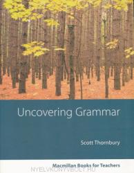 Uncovering Grammar (ISBN: 9781405080064)