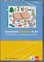 Grammatik interaktiv A1-B1- 30 Tafelbilder zum Erklären und Üben CD-Rom (ISBN: 9783126051798)