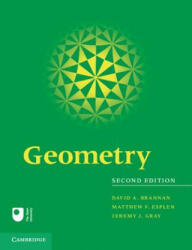 Geometry - David A Brannan (2011)