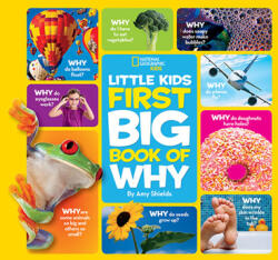 Little Kids First Big Book of Why - Susan Magsamen (2011)