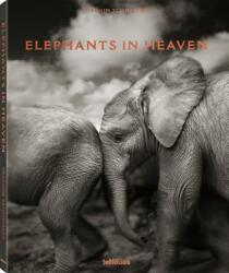 Elephants in Heaven - Joachim Schmeisser (ISBN: 9783961710478)