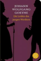 Die Leiden des jungen Werthers - Johann W. von Goethe (2012)