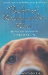 Garth Stein: The Art of Racing in the Rain (ISBN: 9780007281190)