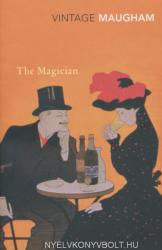 Magicianul (ISBN: 9780099289005)