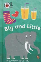 Big and Little - Ladybird Minis (ISBN: 9781409301783)