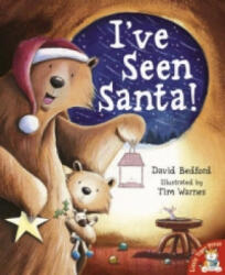 I've Seen Santa! - David Bedford (ISBN: 9781845061951)