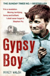 Gypsy Boy - Mikey Walsh (ISBN: 9780340977989)
