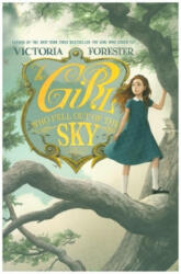 Girl Who Fell Out of the Sky (ISBN: 9781250759634)