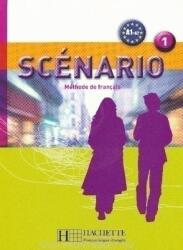 Scenario - Anne-Lyse Dubois, Martine Lerolle (ISBN: 9782011555618)