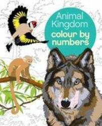 Animal Kingdom Colour by Numbers - Martin (Illustrator) Sanders, Arpad (Illustrator) Olbey (ISBN: 9781784283841)