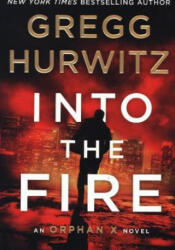 Into the Fire - GREGG HURWITZ (ISBN: 9781250623683)