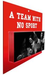 Team With No Sport - Virgil Abloh (ISBN: 9783791358994)