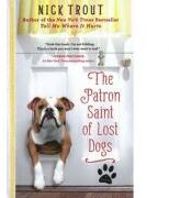 The Patron Saint of Lost Dogs (ISBN: 9781401310882)