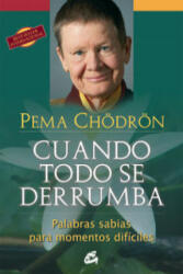 Cuando todo se derrumba : palabras sabias para momentos difíciles - Pema Chödrön, Miguel Iribarren Berrade (ISBN: 9788484454298)