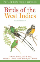 Birds of the West Indies Second Edition - Herbert A Raffaele (ISBN: 9780691180519)