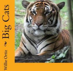 Big Cats - Willie Ortiz (ISBN: 9781979741125)