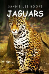 Jaguars - Sandie Lee Books - Sandie Lee Books (ISBN: 9781495209796)