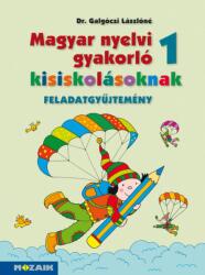Magyar nyelvi gyakorló kisiskolásoknak 1. fgy (2013)