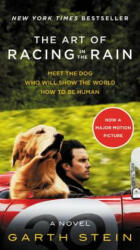 The Art of Racing in the Rain - Garth Stein (2017)