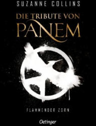 Die Tribute von Panem 3. Flammender Zorn - Sylke Hachmeister, Peter Klöss (ISBN: 9783789121296)