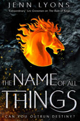 Name of All Things - LYONS JENN (ISBN: 9781509879557)