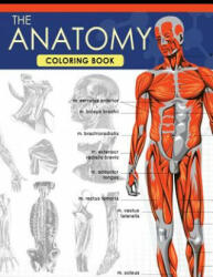 The Anatomy Coloring Book: A Complete Study Guide (9th Edition) - Dr Jessica C Flynn (ISBN: 9781535449663)