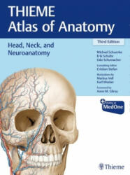 Head, Neck, and Neuroanatomy (THIEME Atlas of Anatomy) - Erik Schulte, Udo Schumacher, Brian MacPherson, Cristian Stefan, Karl H. Wesker, Markus Voll (ISBN: 9781626237223)