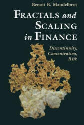 Fractals and Scaling in Finance: Discontinuity Concentration Risk. Selecta Volume E (ISBN: 9781441931191)