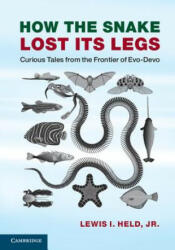 How the Snake Lost its Legs - Lewis I. Held, Jr (ISBN: 9781107621398)