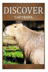 Capybara - Discover: Early reader's wildlife photography book - Discover Press (ISBN: 9781500384487)