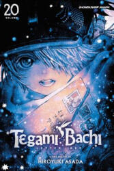 Tegami Bachi, Vol. 20 - Hiroyuki Asada (ISBN: 9781421590462)