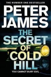 Secretul de la Cold Hill (ISBN: 9781509816255)