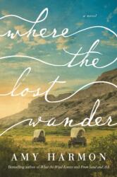 Where the Lost Wander (ISBN: 9781542017961)