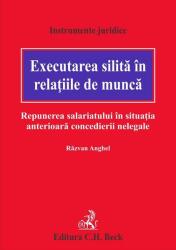 Executarea silita in relatiile de munca. Repunerea salariatului in situatia anterioara concedierii nelegale - Razvan Anghel (ISBN: 9786061809790)