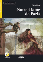 Lire et s'entrainer - Victor Hugo (ISBN: 9788853016379)