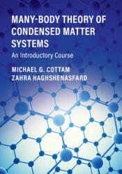 Many-Body Theory of Condensed Matter Systems: An Introductory Course (ISBN: 9781108488242)