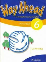 Way Ahead 6, Grammar Practice Book, Caiet de gramatica engleza pentru clasa 8-a (ISBN: 9781405059299)