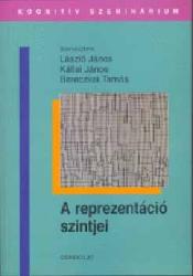 A REPREZENTÁCIÓ SZINTJEI (2004)